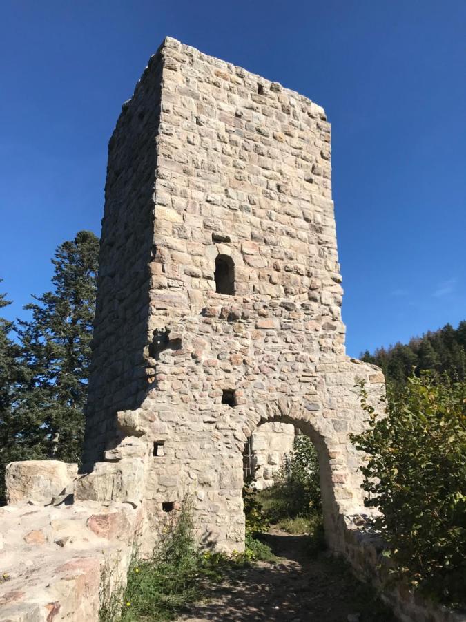 Landgasthof Alpenblick An Der Wutachschlucht Suedschwarzwald Löffingen Zewnętrze zdjęcie