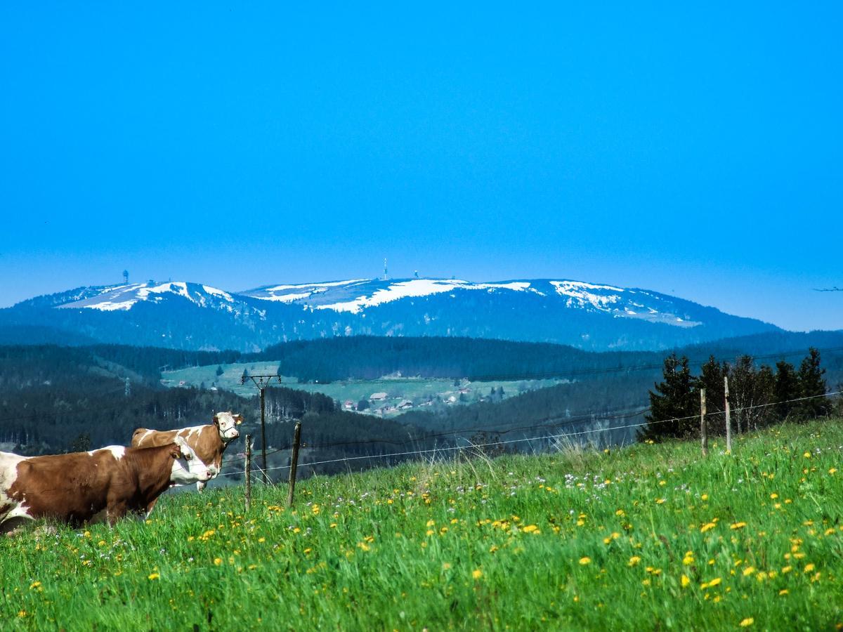 Landgasthof Alpenblick An Der Wutachschlucht Suedschwarzwald Löffingen Zewnętrze zdjęcie